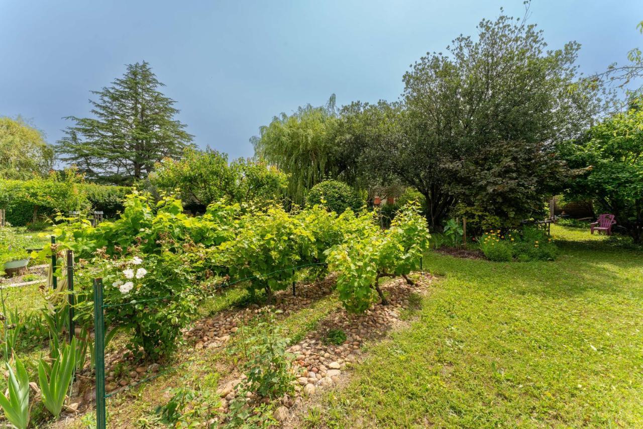 Villa La Mireio Malaucène Екстериор снимка