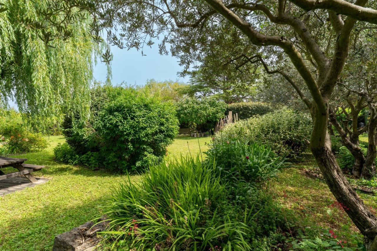 Villa La Mireio Malaucène Екстериор снимка
